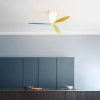 BLOW Μulticolor fan - Ceiling Fans