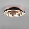 CAYA BRASS - Ceiling Lamps / Ceiling Lights