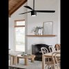 Lucci Air PEREGRINE BLACK DC Fan - Ceiling Fans