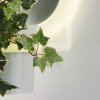 AROA - Outdoor Wall Lamps