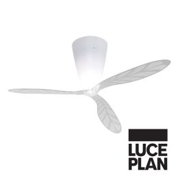 BLOW Transparent (stripped) fan