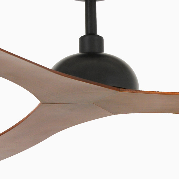 GOTLAND WALNUT NL FAN