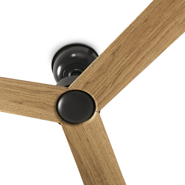 MARINE DARK BROWN/OAK NL FAN