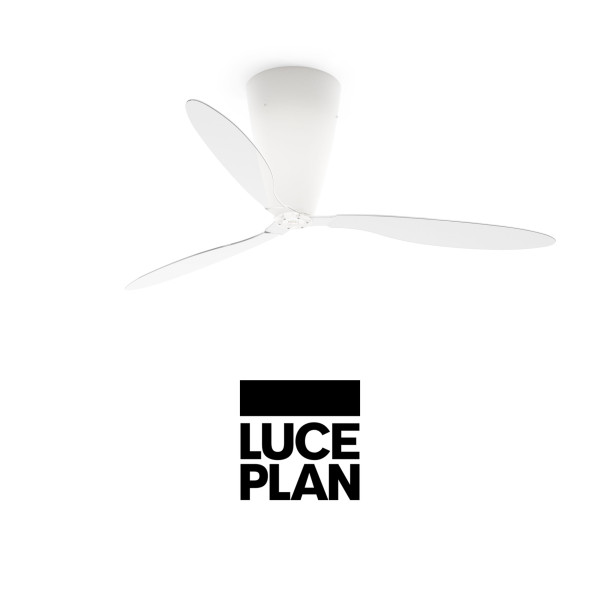 BLOW TRANSPARENT FAN