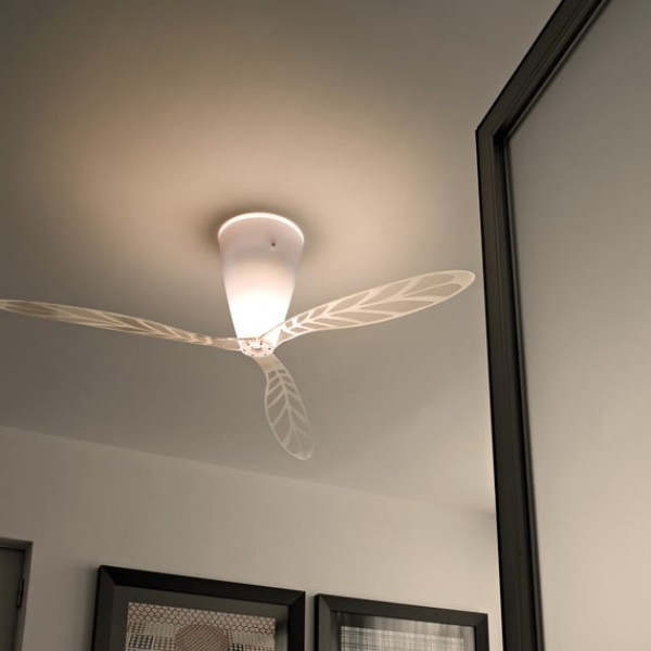 BLOW STRIPPED FAN