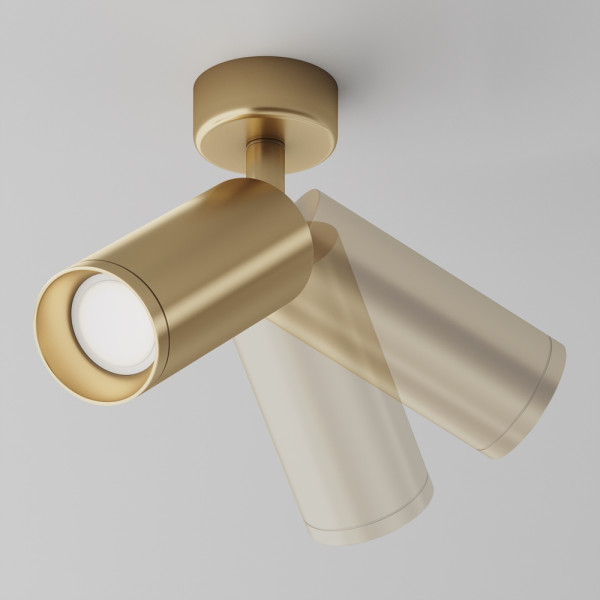 FOCUS GOLD SPOTLIGHT