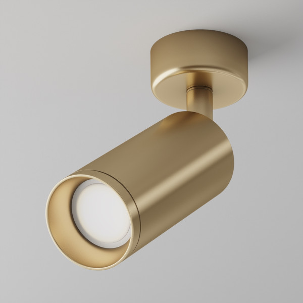 FOCUS GOLD SPOTLIGHT