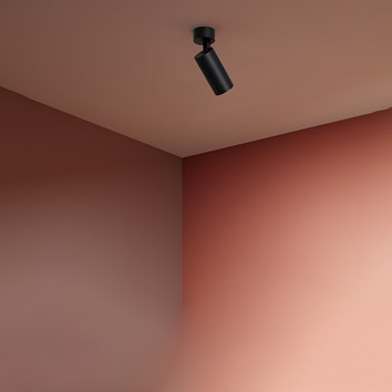 SIMPLY SPOTLIGHT