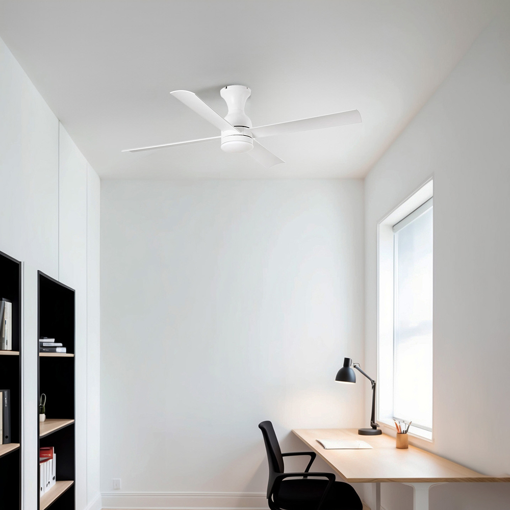 FRASER M WHITE FAN