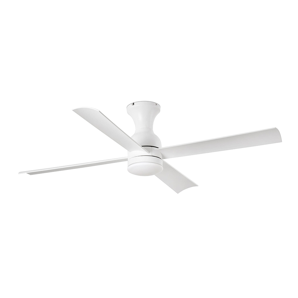 FRASER M WHITE FAN
