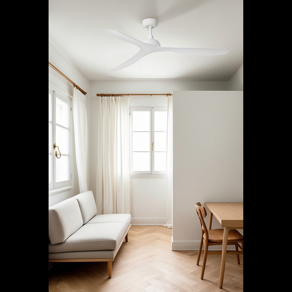 GOTLAND WHITE NL FAN