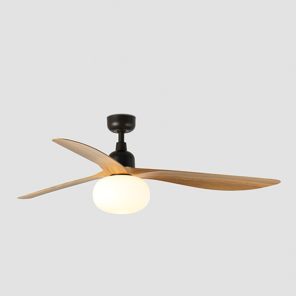 OUTWOOD L DARK BROWN/OAK FAN
