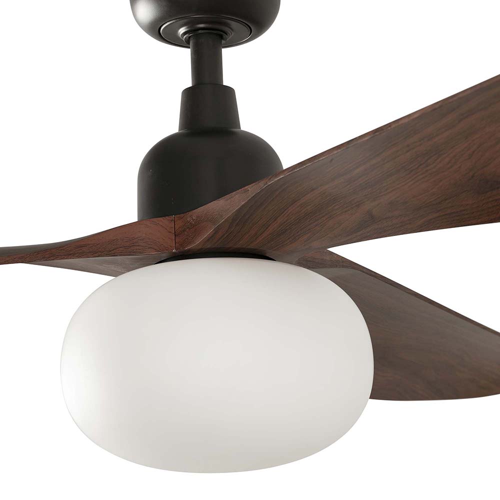 OUTWOOD L DARK BROWN/WALNUT FAN