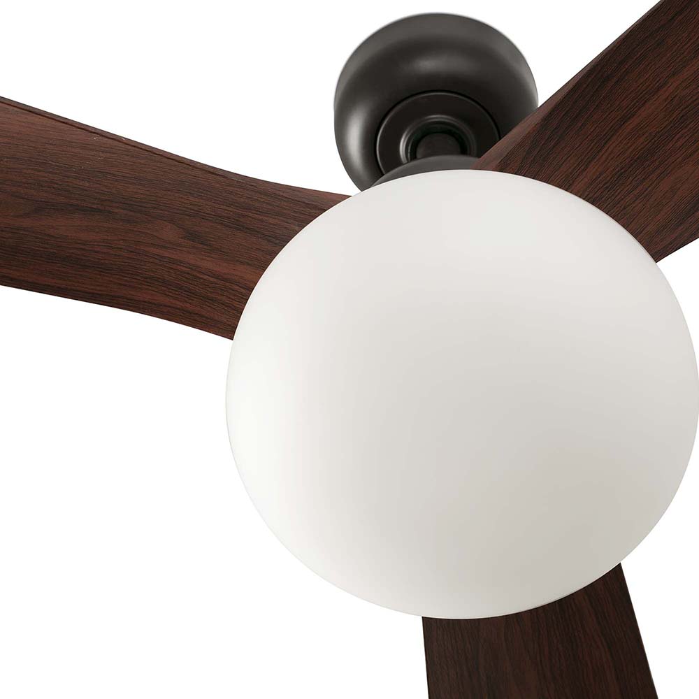 OUTWOOD L DARK BROWN/WALNUT FAN