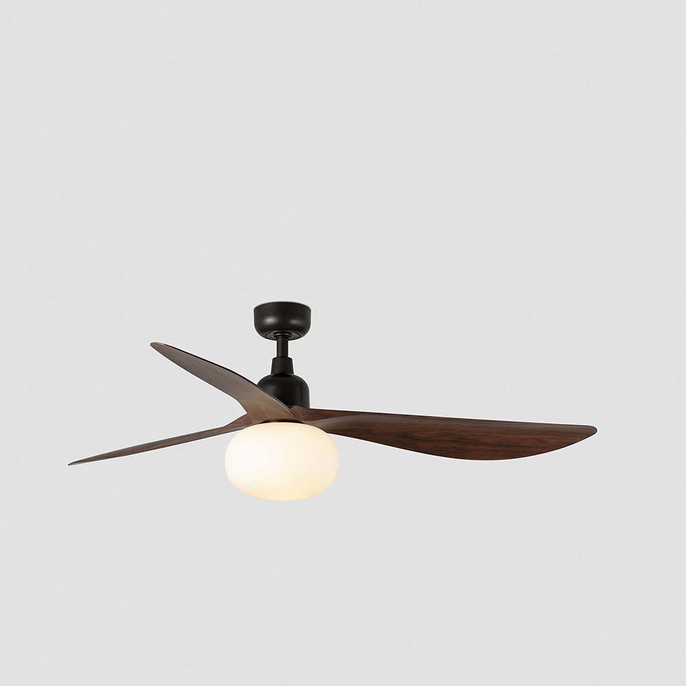 OUTWOOD L DARK BROWN/WALNUT FAN