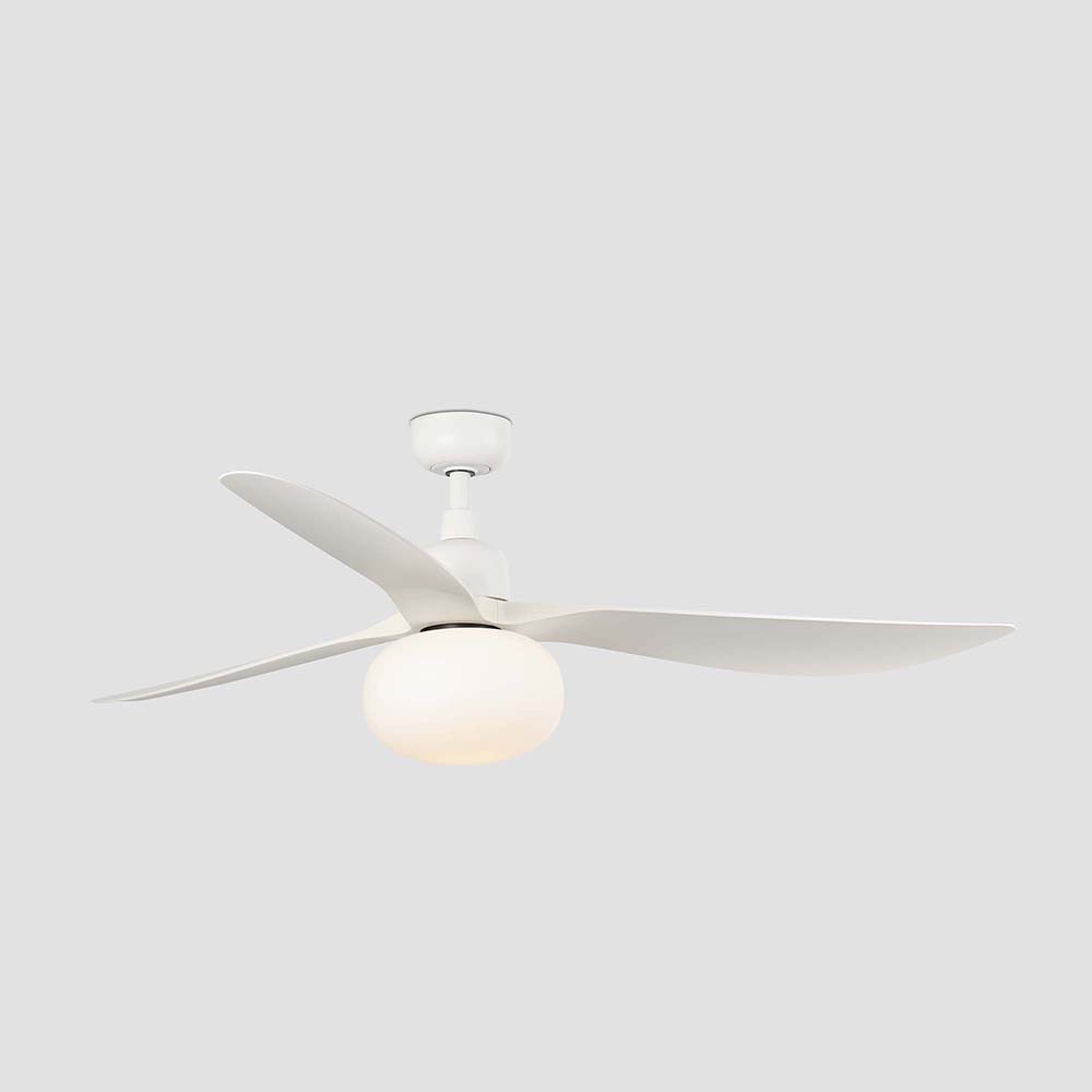 OUTWOOD L WHITE FAN