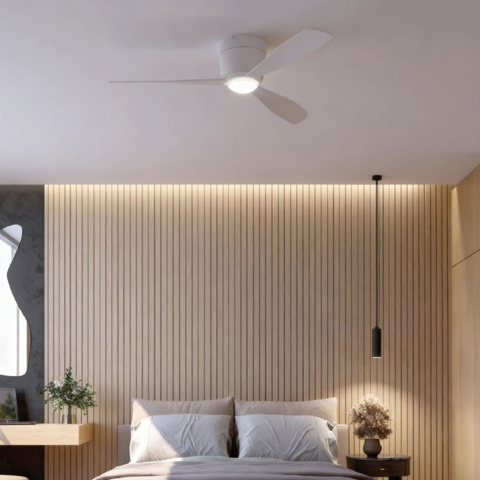 BORA DC FAN