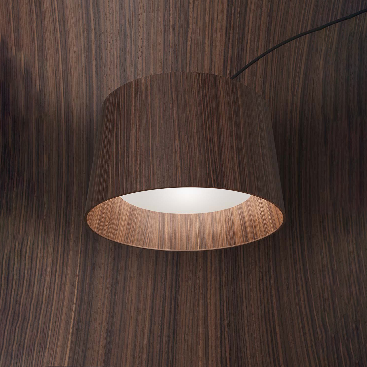 TWIGGY ROSEWOOD F