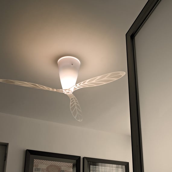 BLOW STRIPPED FAN