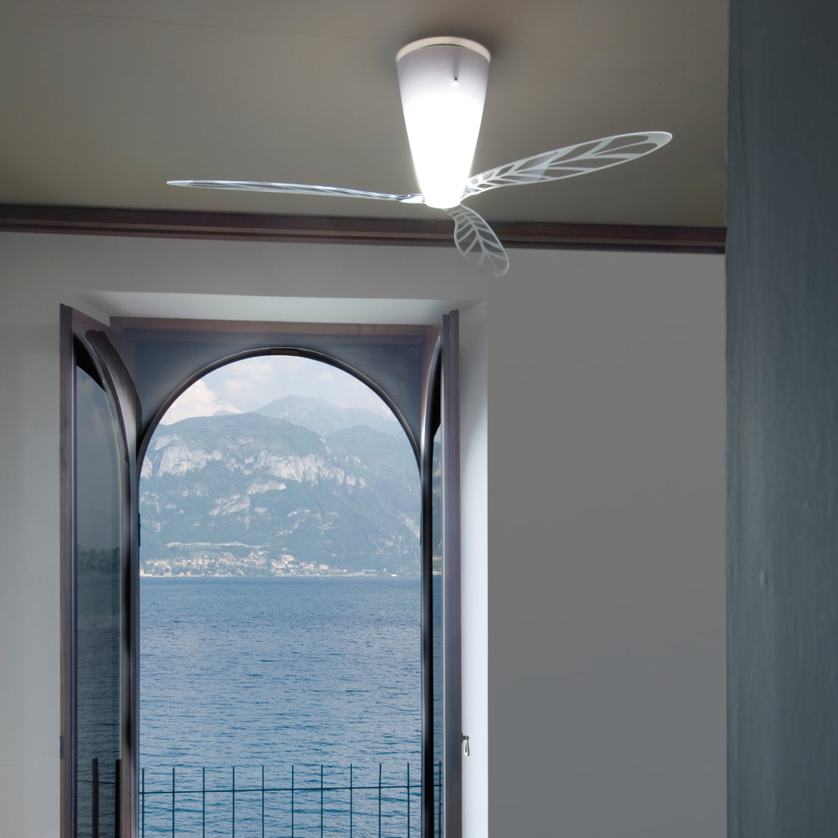 BLOW STRIPPED FAN