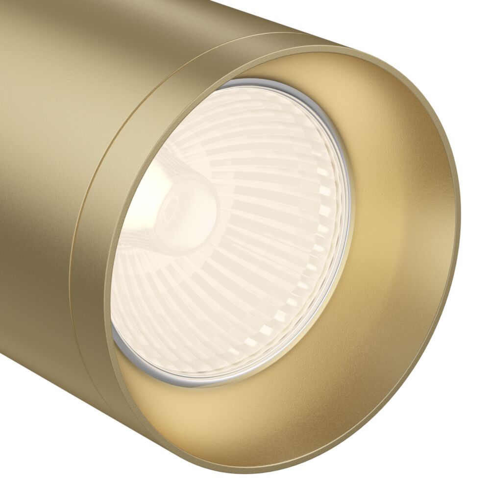 FOCUS GOLD SPOTLIGHT