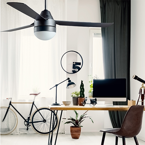 Bayside MEGARA TITANIUM FAN