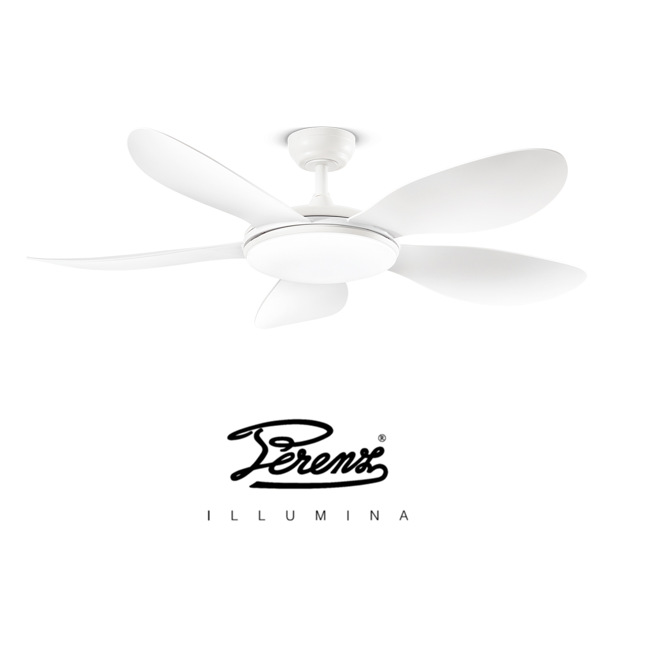 Perenz SMARTI 7173 B CT fan